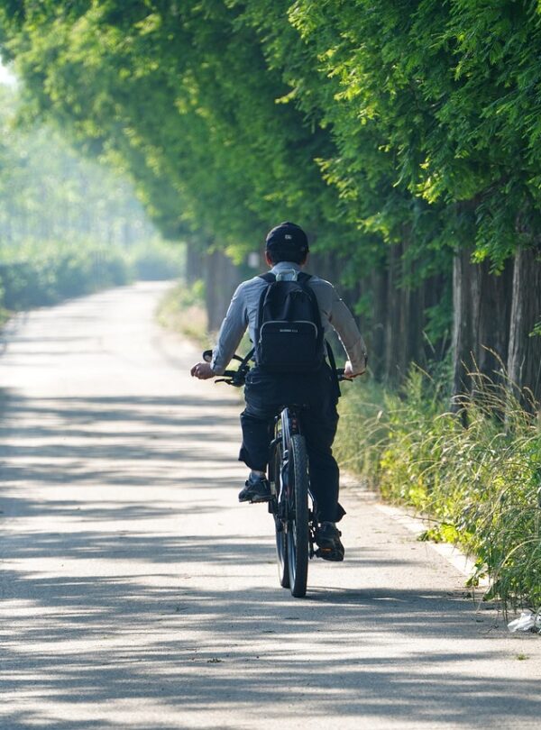 man, riding, cycling, bike, exercise, republic of korea, landscape, cycling, cycling, cycling, cycling, cycling, exercise, landscape