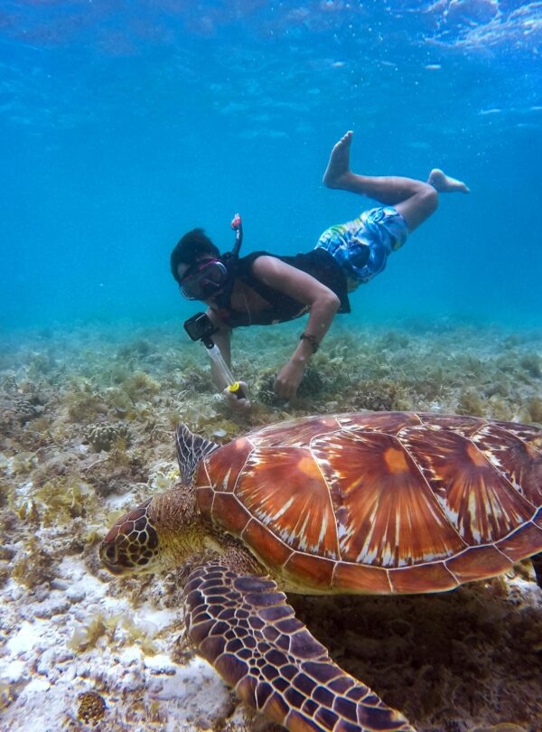 Diver and sea turtle exploring vibrant coral reef in tropical waters.